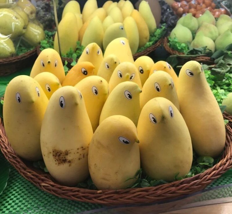 芒果田东芒果小台农桂七芒