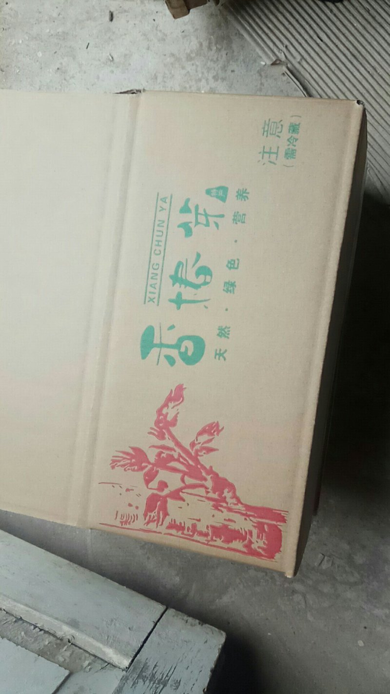 头芽香椿芽咸菜，2芽香椿咸菜，常年供货，寻全国各地批发商