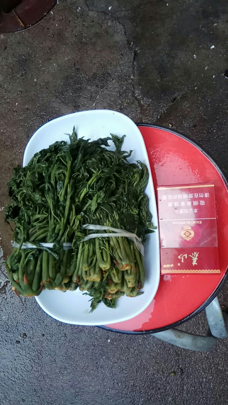 头芽香椿芽咸菜，2芽香椿咸菜，常年供货，寻全国各地批发商