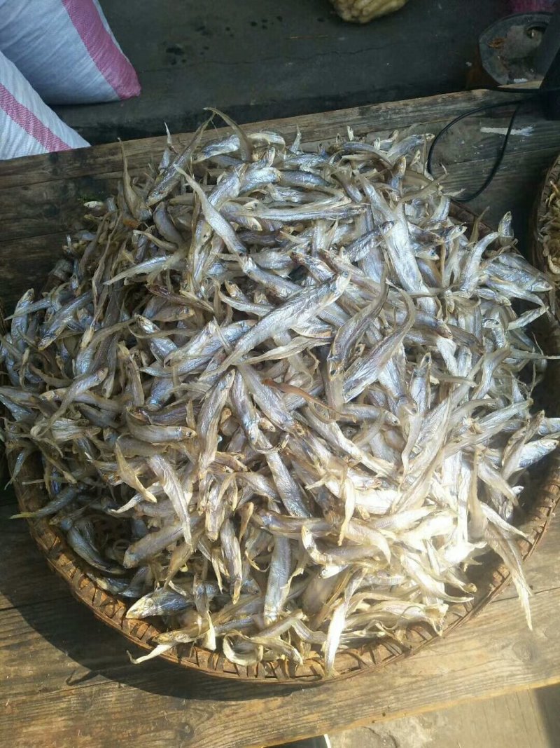 淡水毛刀鱼毛花鱼凤尾鱼干大量供应