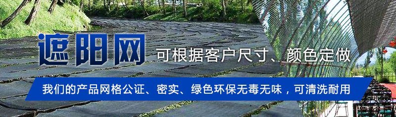 遮阳网