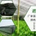 遮阳网
