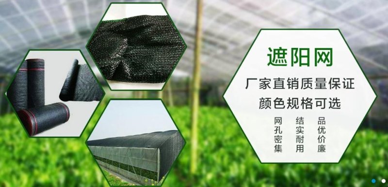 遮阳网