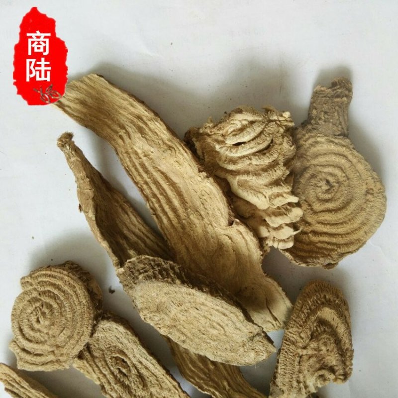 商陆供应上千种中药材