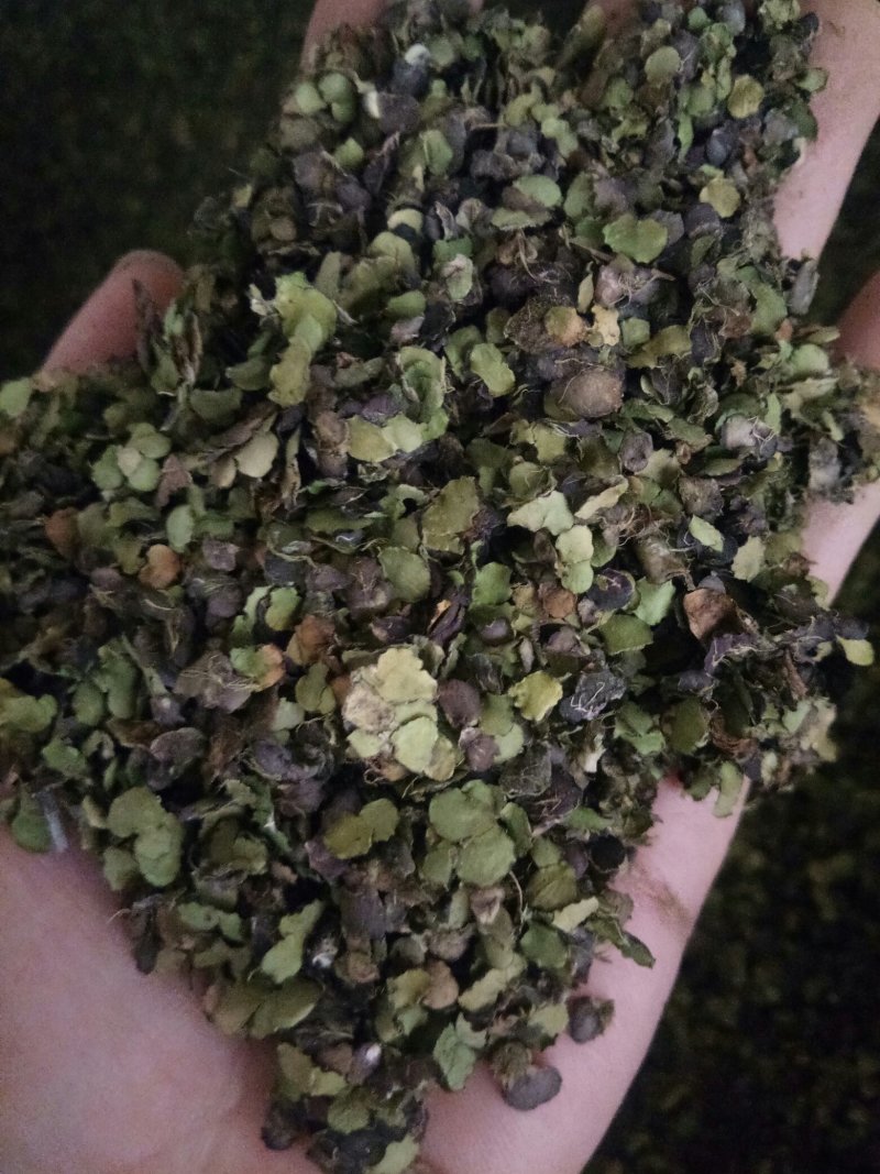 浮萍正品无硫净货实拍图一公斤起