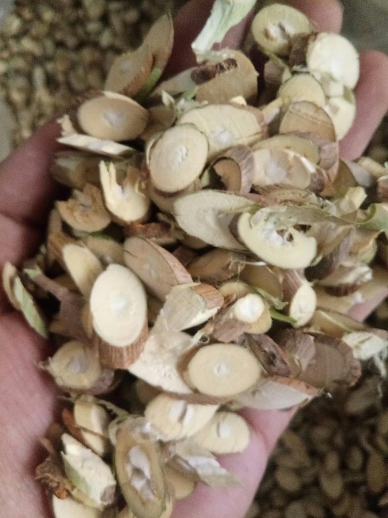 桑枝河北干品无硫熏实物拍摄一公斤起发货