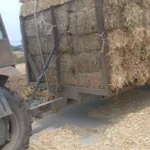 小麦秸秆