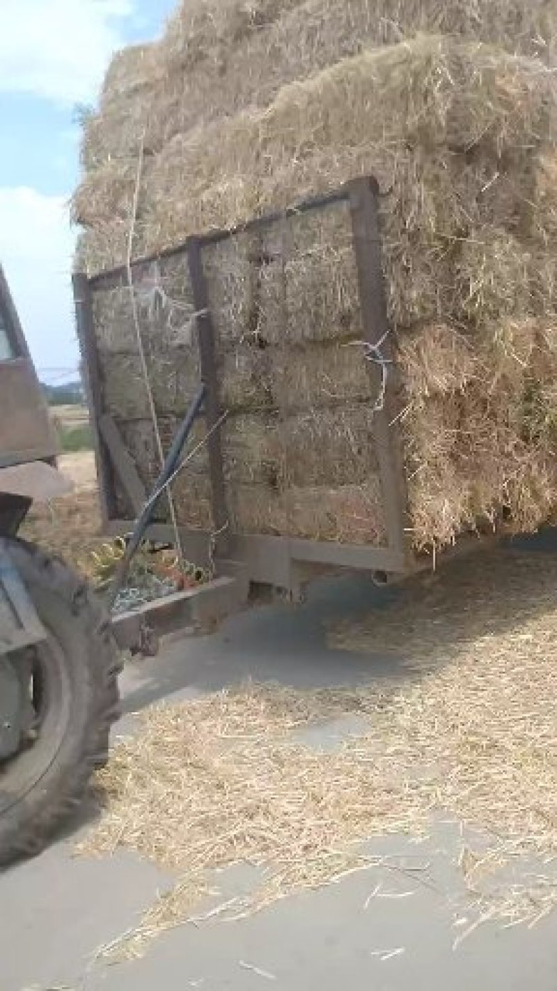 小麦秸秆