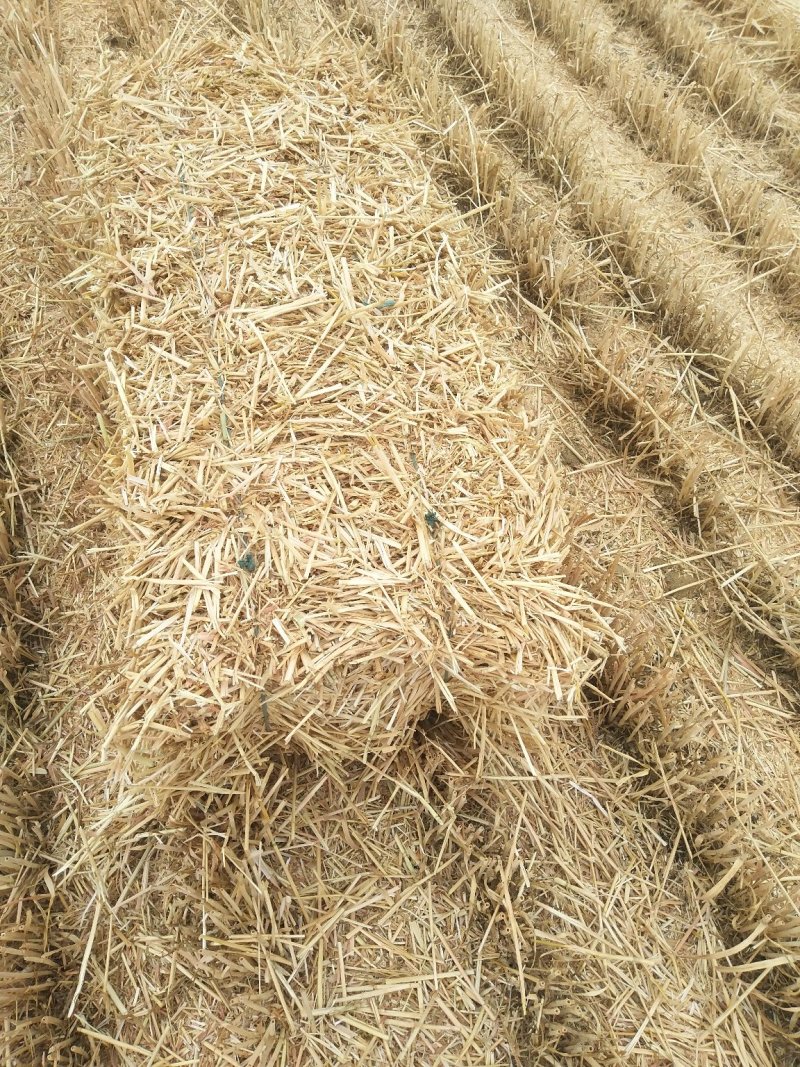 小麦秸秆