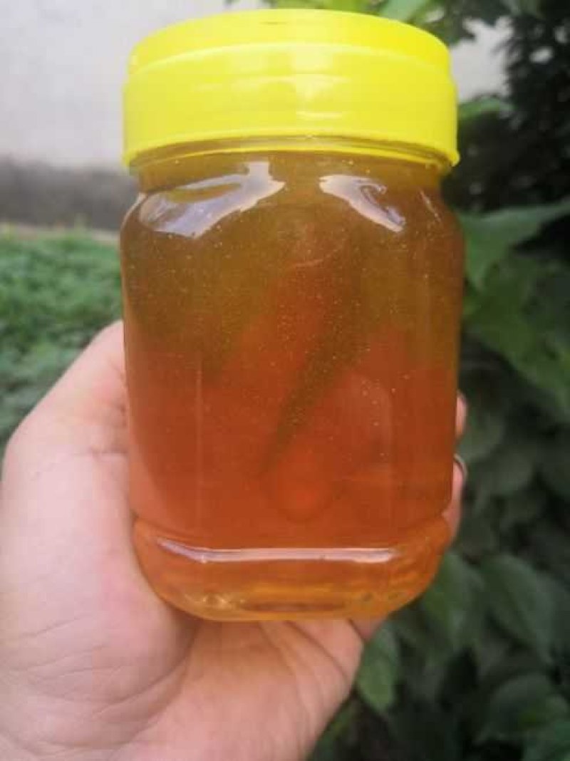 蜂蜜瓶~加厚塑料包装瓶，德邦发货，大量供应批发