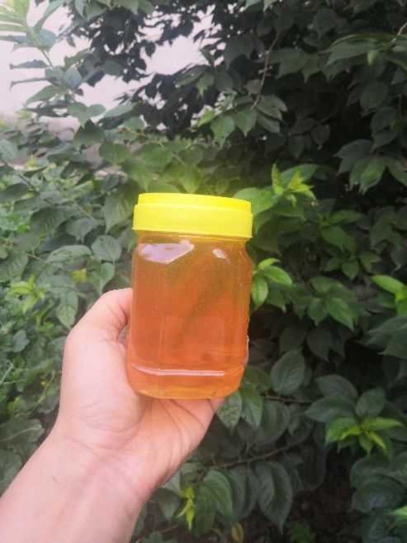 蜂蜜瓶~加厚塑料包装瓶，德邦发货，大量供应批发