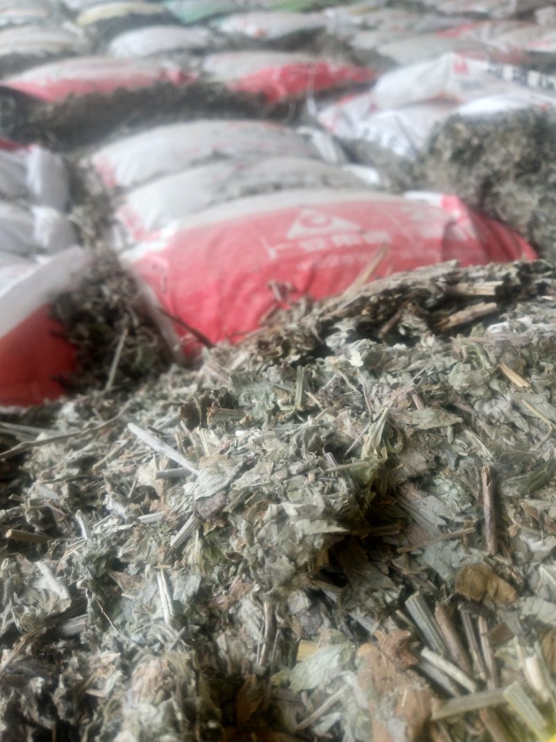 艾草
