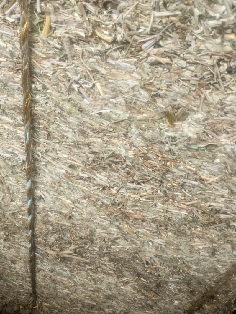 艾草
