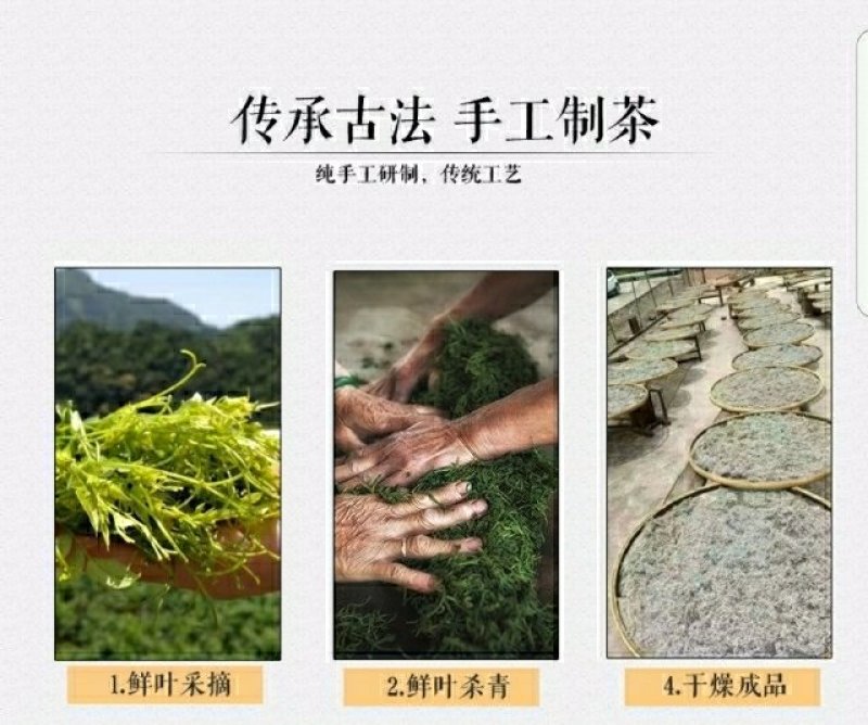 纯天然野生藤茶养生茶