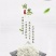 纯天然野生藤茶养生茶