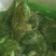 牛蛙，牛蛙，牛蛙，牛蛙，牛蛙。