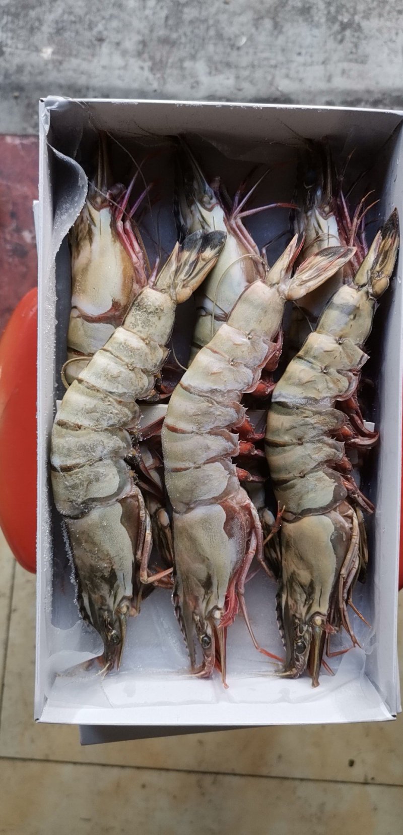 老虎虾大鬼虾一斤4条，5条6条一盒规格齐全一箱10盒包邮