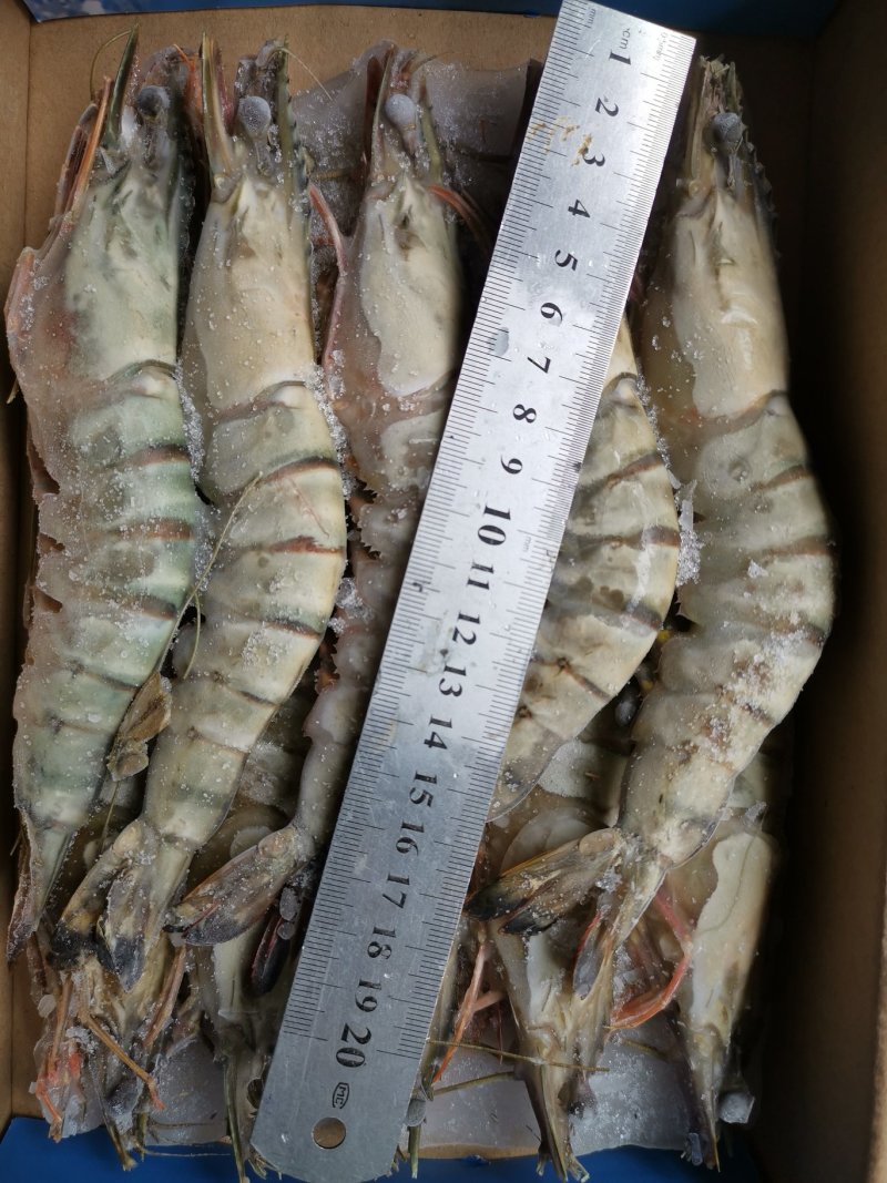 老虎虾大鬼虾一斤4条，5条6条一盒规格齐全一箱10盒包邮