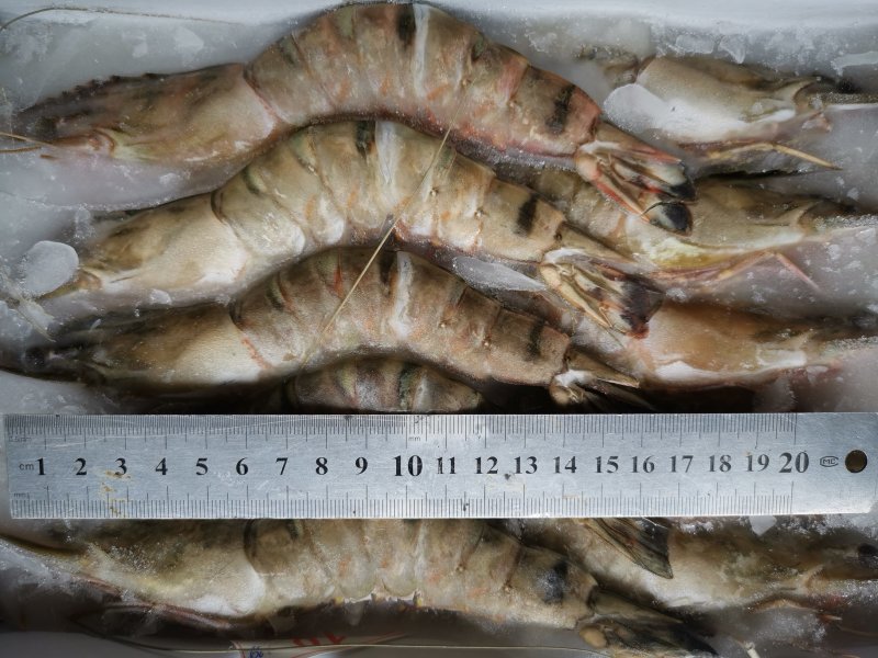老虎虾大鬼虾一斤4条，5条6条一盒规格齐全一箱10盒包邮