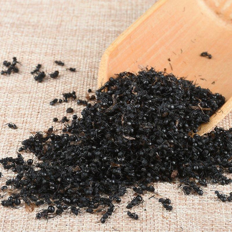 包邮黑蚂蚁蚂蚁供应上千种中药材