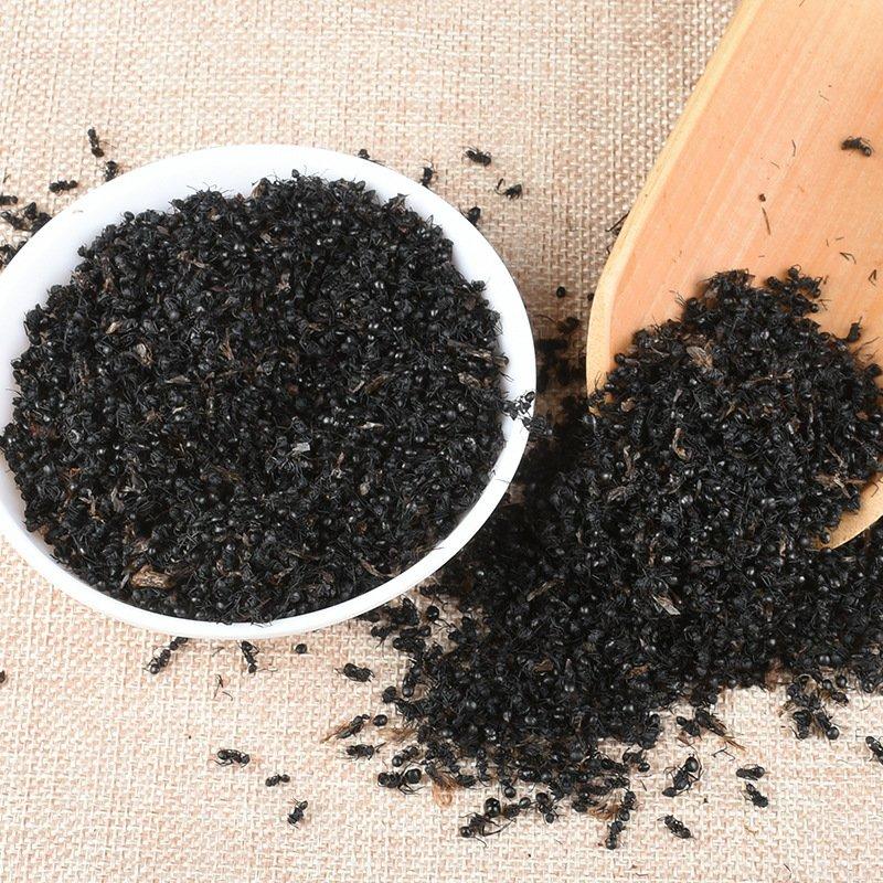 包邮黑蚂蚁蚂蚁供应上千种中药材