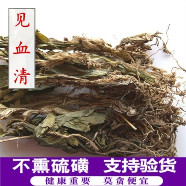 见血清供应上千种中药材