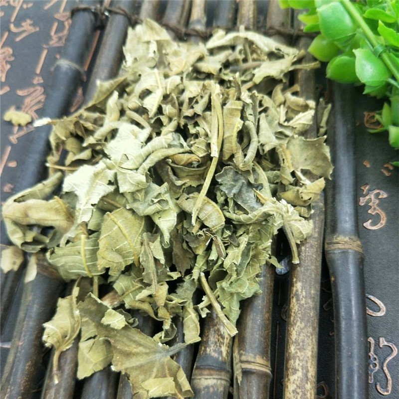 无花果叶供应上千种中药材