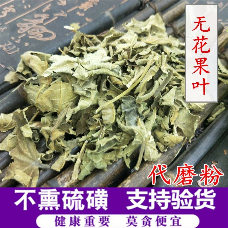 无花果叶供应上千种中药材