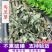 马兰草供应上千种中药