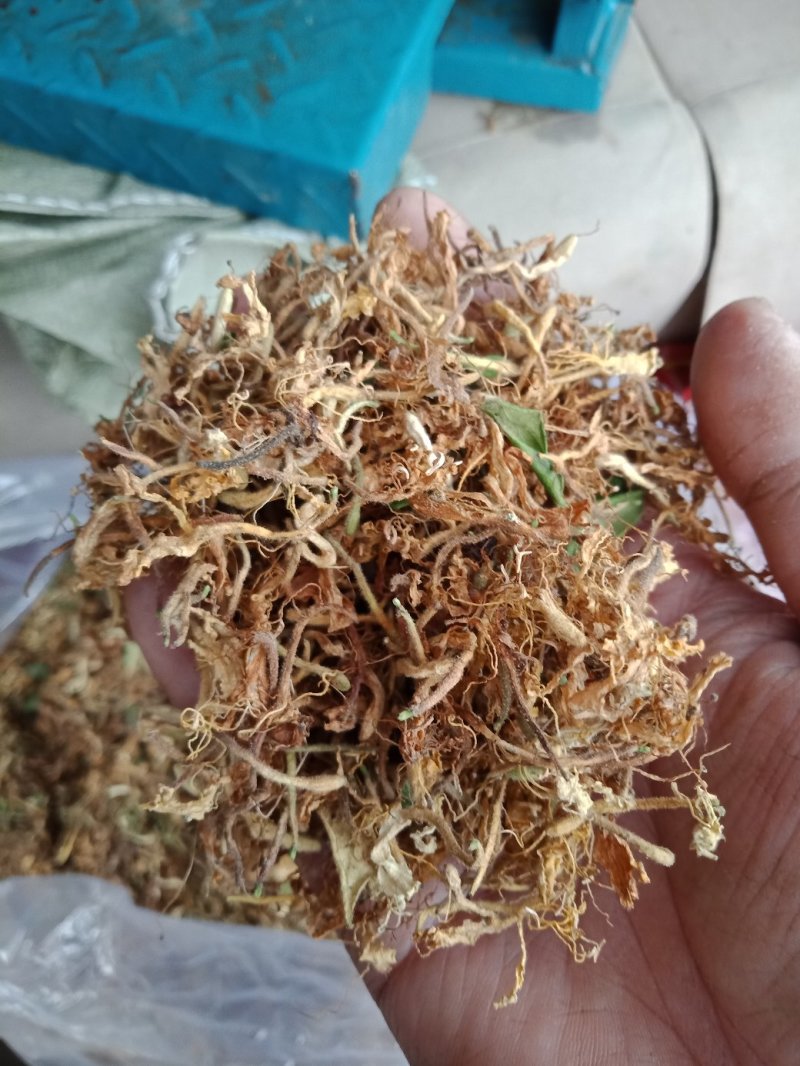 野生金银花。