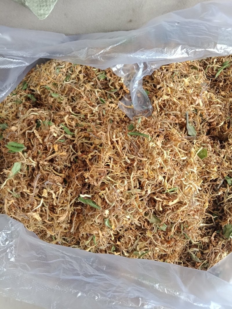 野生金银花。