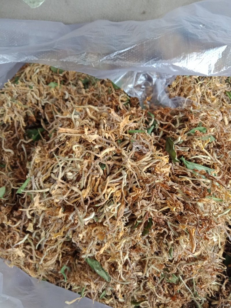 野生金银花。