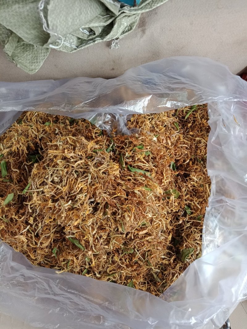 野生金银花。