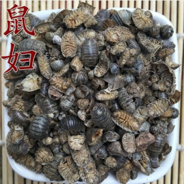 鼠妇供应上千种中药材