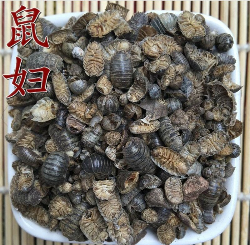 鼠妇供应上千种中药材