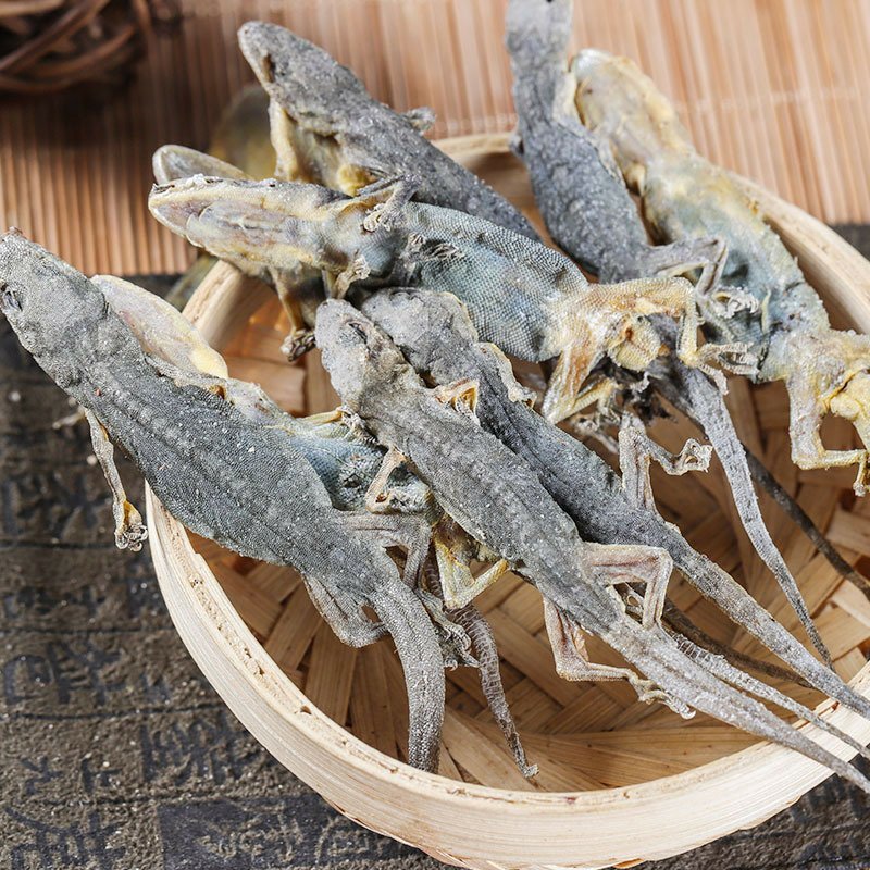 壁虎天龙供应上千种中药材