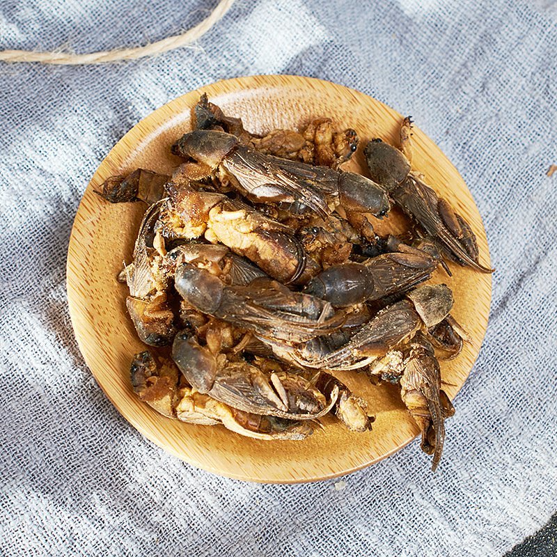 蝼蛄供应上千种中药材