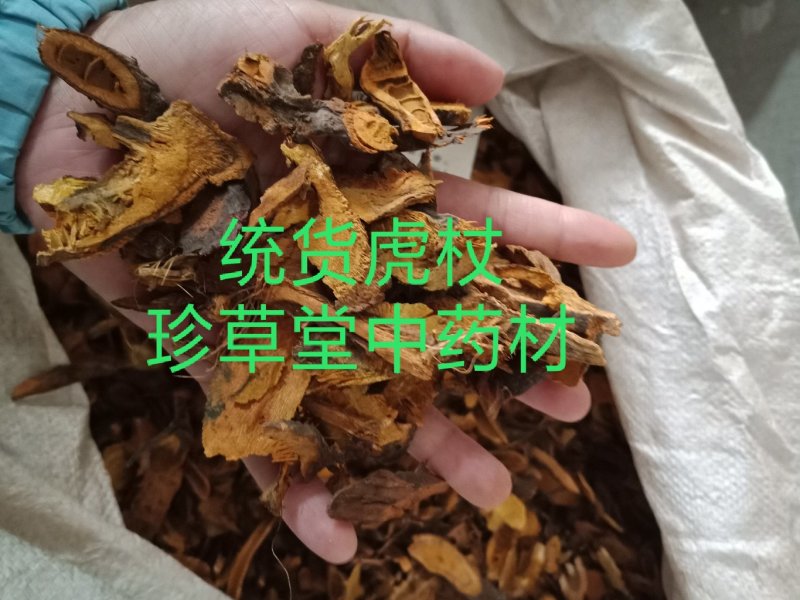 虎杖无硫各种中药材批发质量保证产地直销