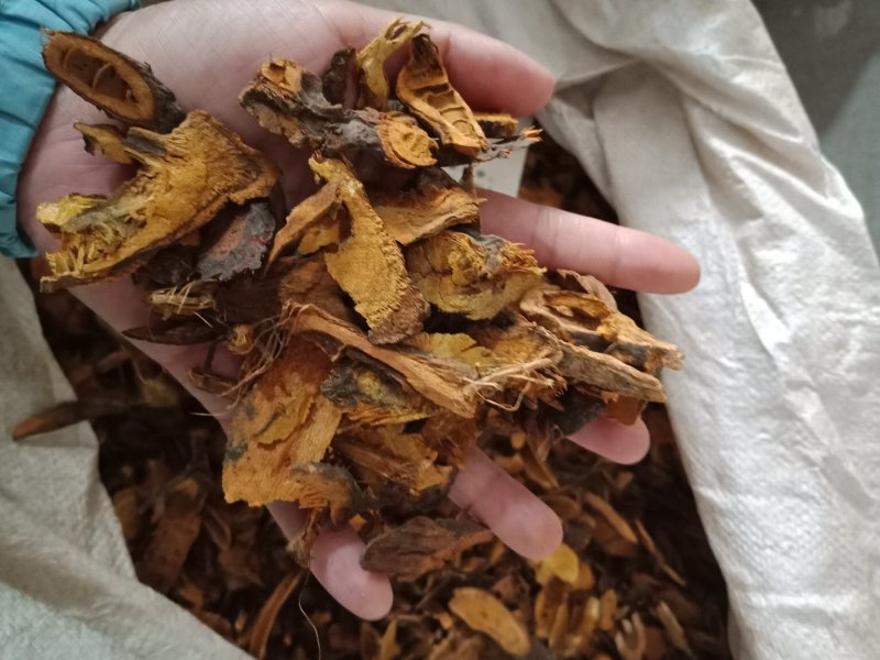 虎杖无硫各种中药材批发质量保证产地直销