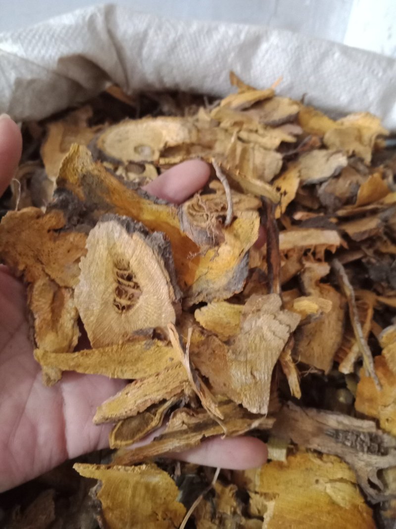 虎杖无硫各种中药材批发质量保证产地直销