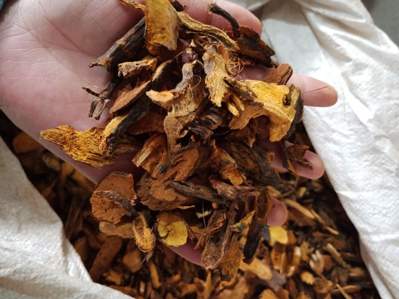 虎杖无硫各种中药材批发质量保证产地直销