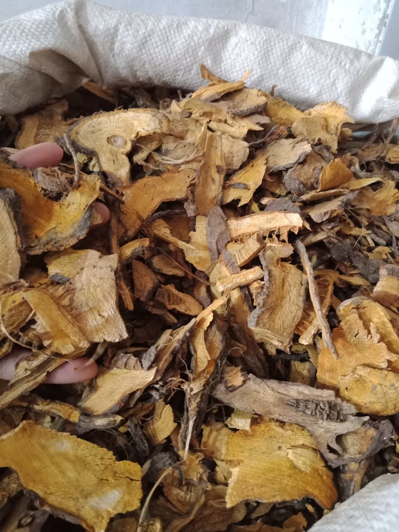 虎杖无硫各种中药材批发质量保证产地直销