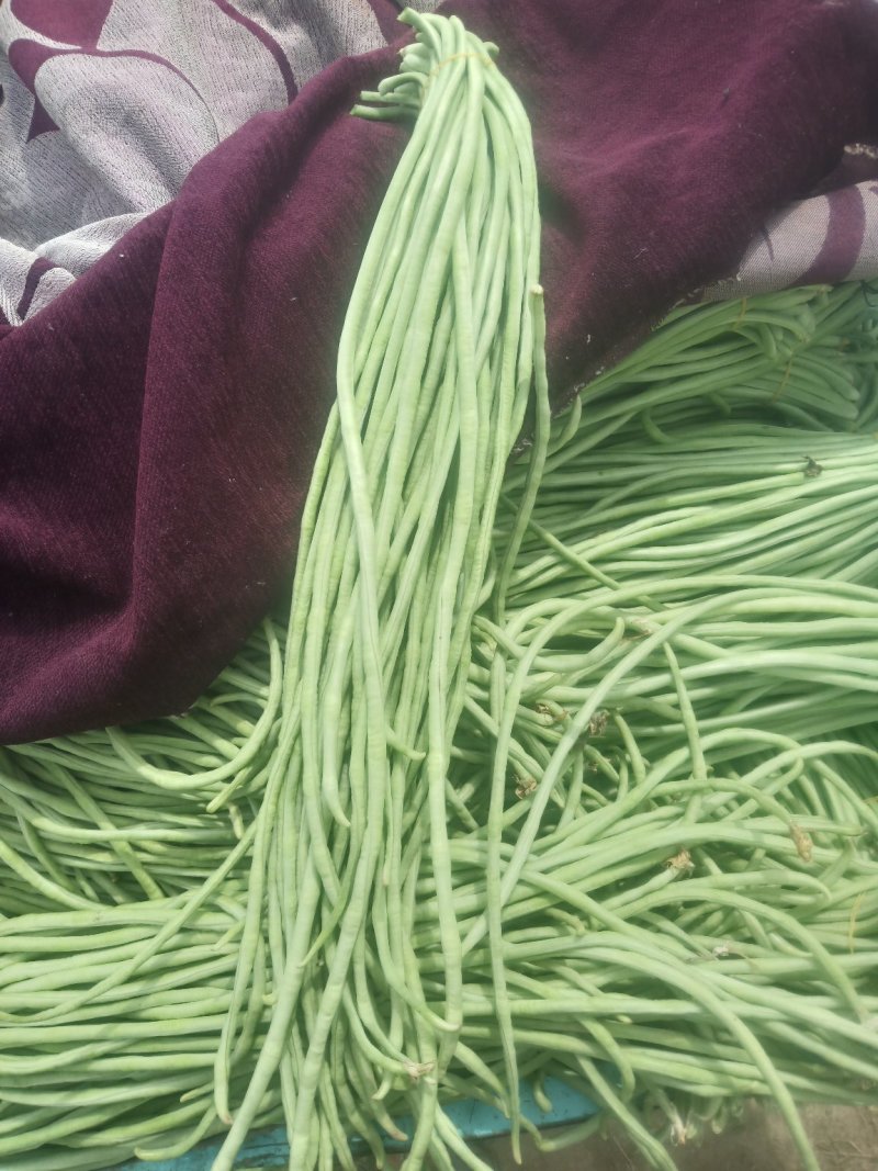 豆角