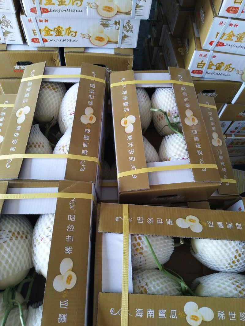 精品白金蜜甜瓜，产地直供，专供市场，超市，电商