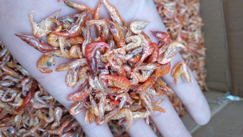 烘干湖虾
