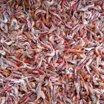 烘干湖虾