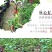 广西百香果苗百香果树苗黄金紫香一号满天星百香果苗包邮庭院