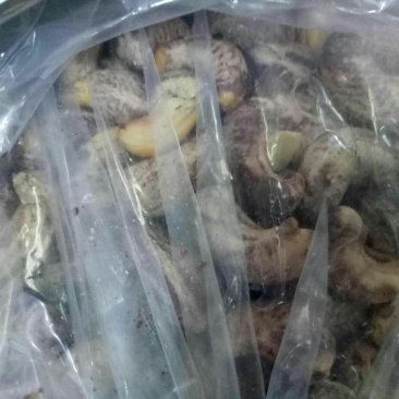 快递包邮带皮五香w240熟腰果