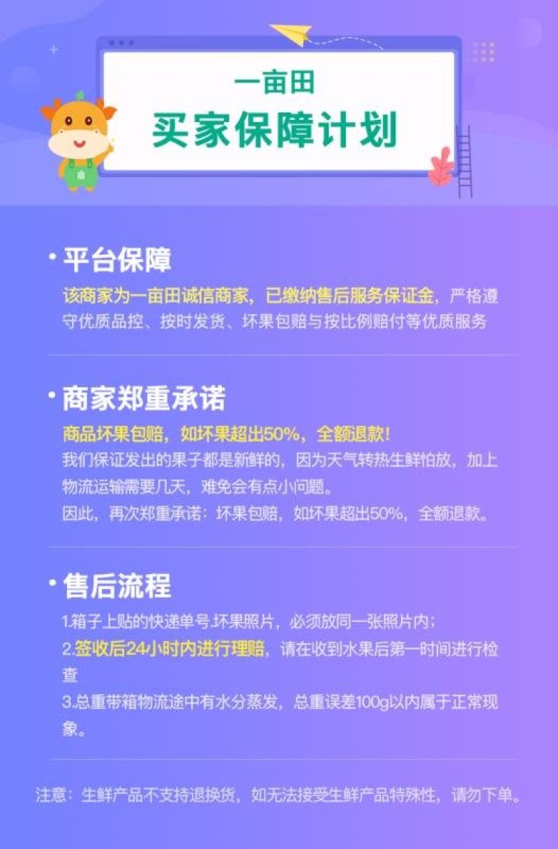 香瓜甜瓜现货力一件代发招电商拼多多天猫微商合作价格优
