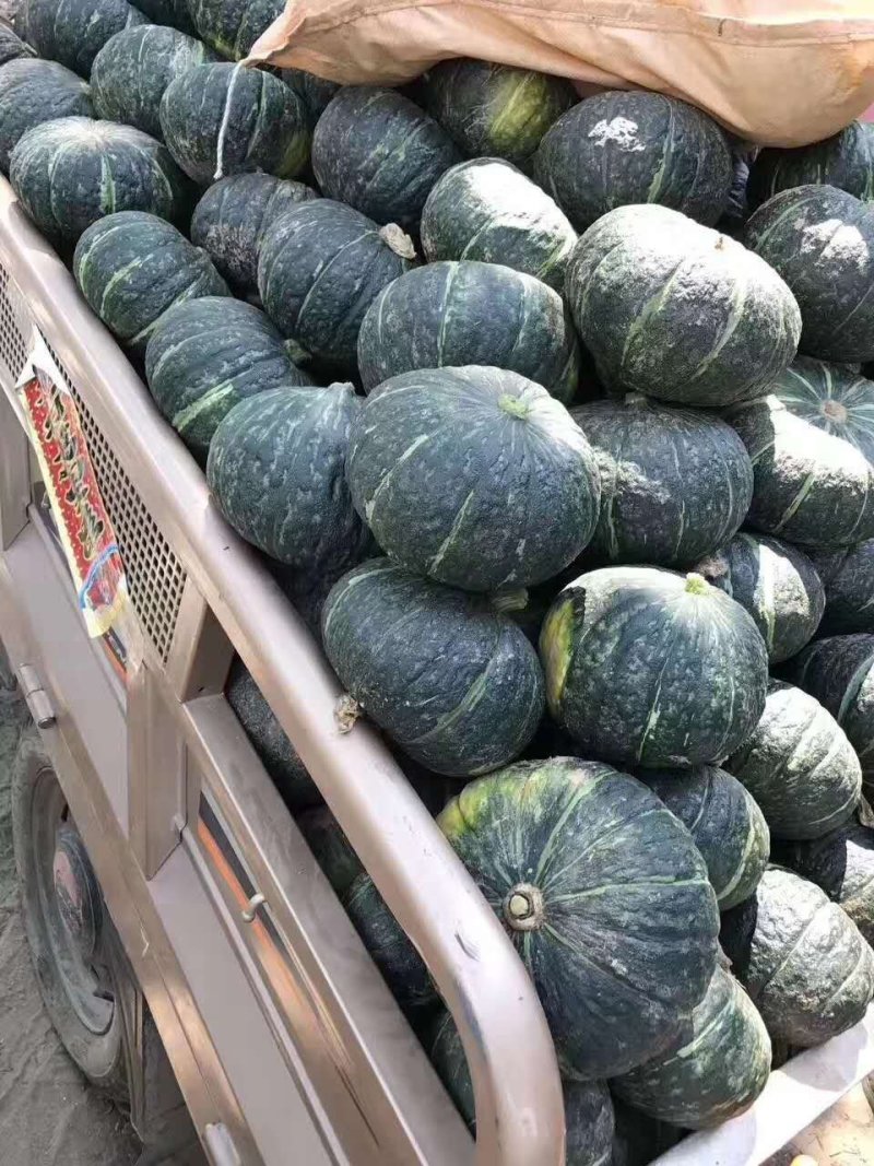 板栗南瓜，河北板栗南瓜大量上口感面甜，产地供应，保证质量